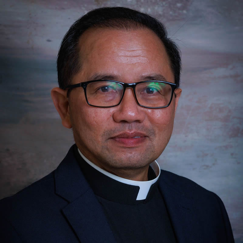 toan vu vicar